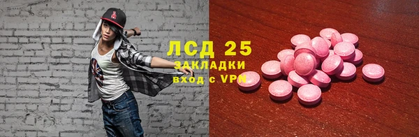 стафф Алзамай