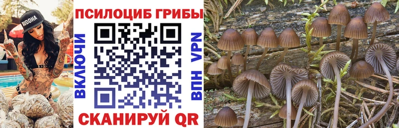 наркотики  Балабаново  Псилоцибиновые грибы прущие грибы 
